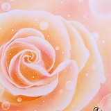 206433856_492559261973499_12870150910033