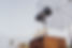 Studioblitz von unten fotografiert