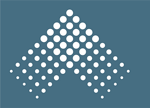 seo_logo.png