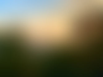 Oaxaca Language School Update 2