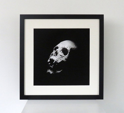 Black skull, real human skull photography - Square art print main image 1