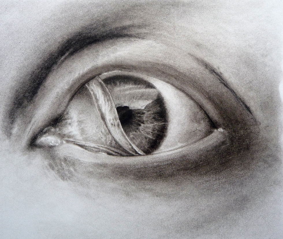 Thumbnail: Mermaid eye original charcoal drawing