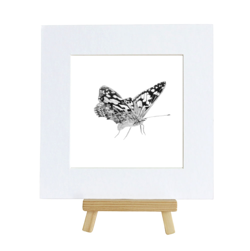Limited Edition Butterfly 1 Print, 10 pack, Hand Signed and Numbered