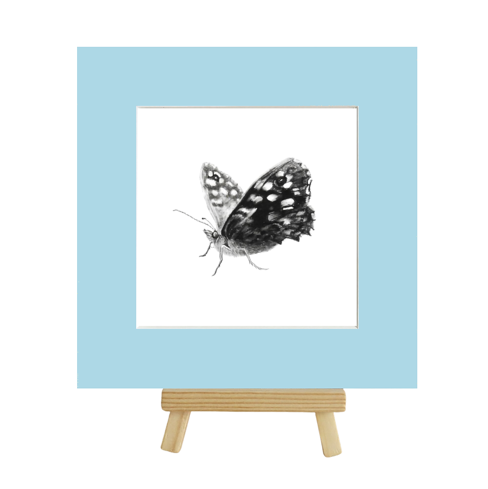 Thumbnail: Limited Edition Butterfly 2 Print, 10 pack, Hand Signed and Numbered