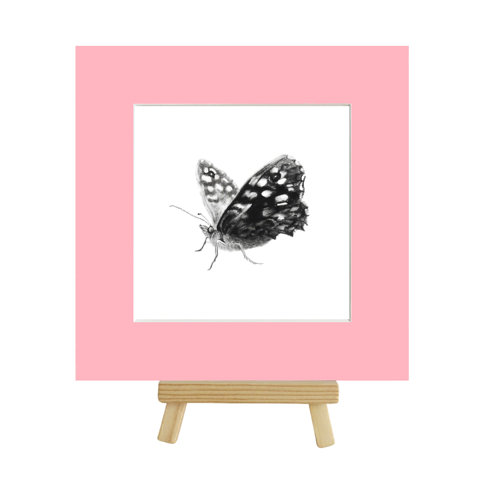 Thumbnail: Limited Edition Butterfly 2 Print, 10 pack, Hand Signed and Numbered