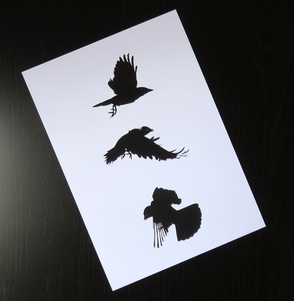 Thumbnail: Crow print, A5
