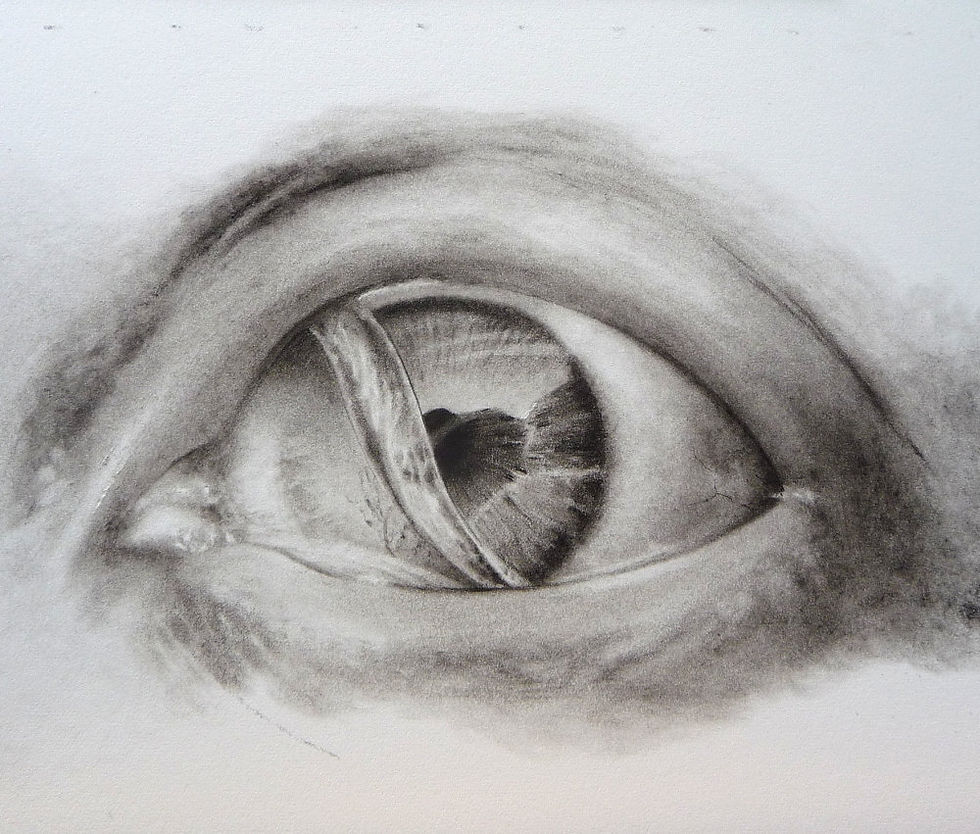 Thumbnail: Mermaid eye original charcoal drawing