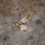 Thumbnail: Aurora Collection Gold Earrings with Rose Quartz Stone