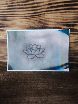 Lotusblüte