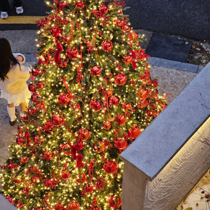 🐪 PITC — An Exotic Desert Resort Hidden in the Alleys of Yeonnam-dong