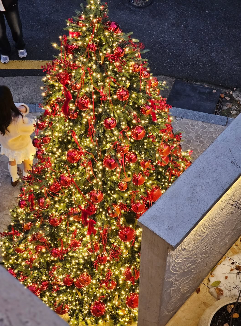 🐪 PITC — An Exotic Desert Resort Hidden in the Alleys of Yeonnam-dong