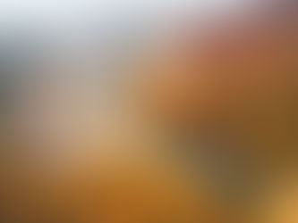 🍂 Golden Autumn Path at HUFS Myongsudang