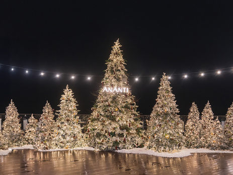 🎄 Busan’s Largest Christmas Tree Forest — Now Open at Ananti