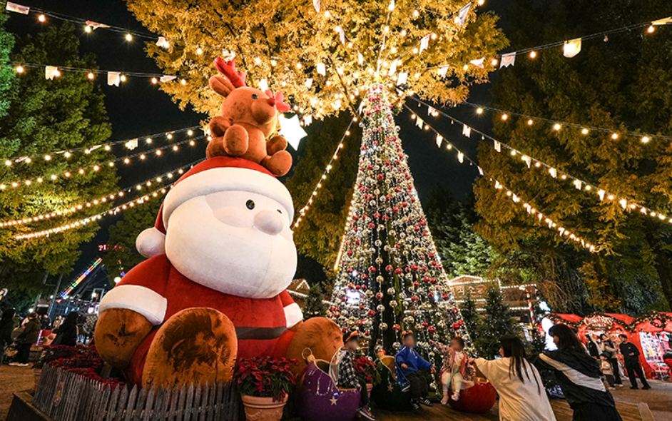 ❄️ Winter Magic Date at Seoul Land — Lights, Marshmallows & Fireworks!