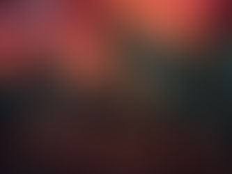 LES MEDIAS SOCIAUX, UNE PLANTATION DE L’ESPRIT.