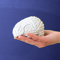 Toy_Brain_azul.jpg