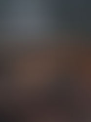 The Survival - Chapitre 11