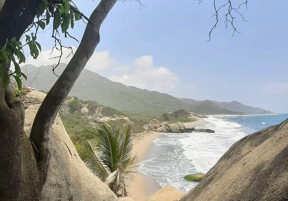Playa Parque Nacional Natural Tayrona Caribe Selva