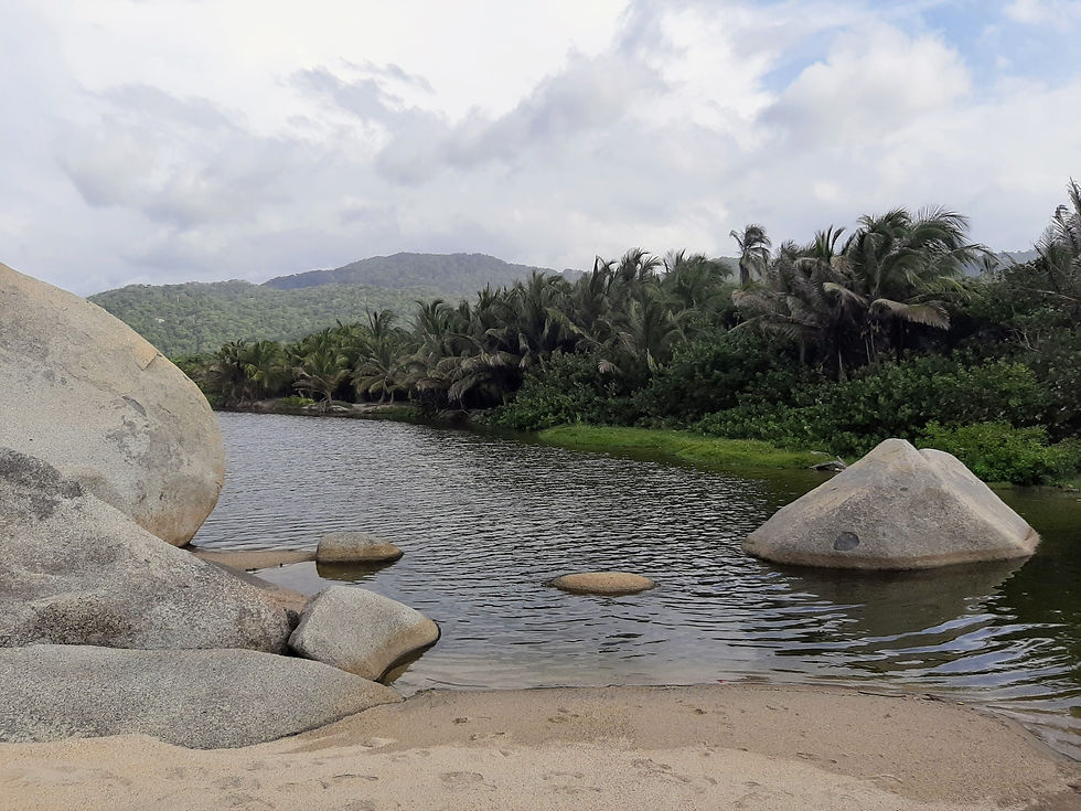 Parque Nacional Natural Tayrona palmeras piedras selva
