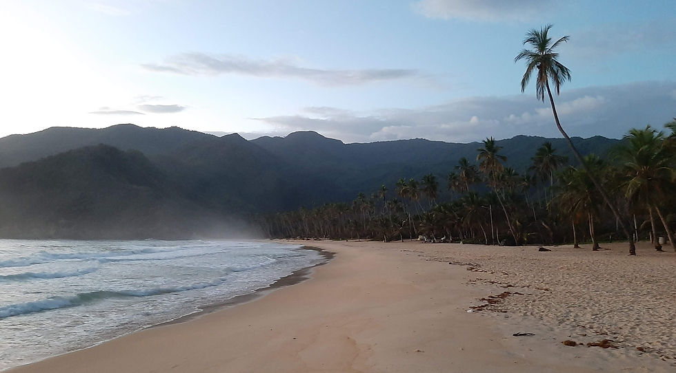 EL Otro Viajero Choroni Playa palmeras venezuela amanecer aragua