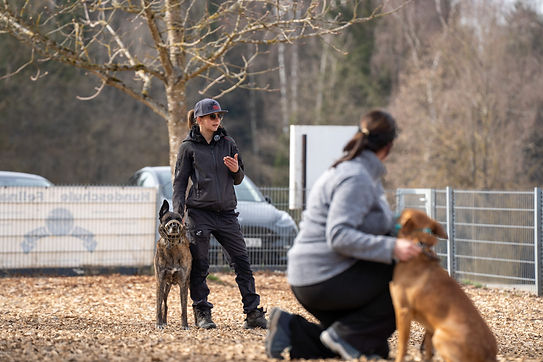 BlackBox_Hund-166.jpg