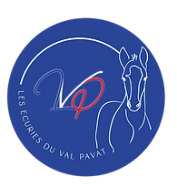 ECUIRE LVP VF-16.png