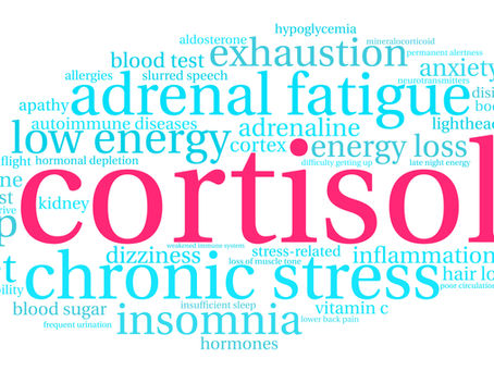 Cortisol - the body's stress hormone