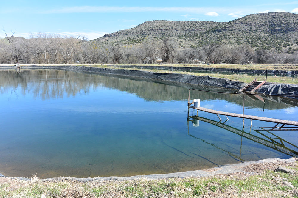 Native fish propagation in Arizona