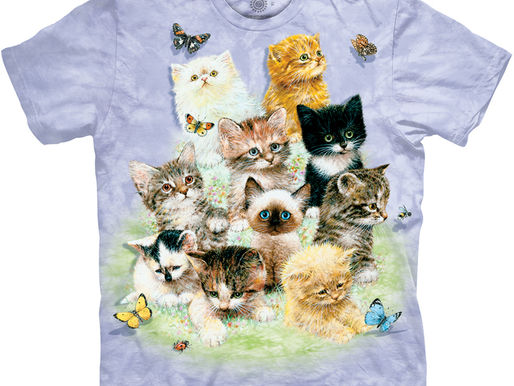 How to Pretend You Like the Cat Shirt your Grandma got you for Christmas for the 9th year Straight