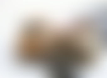 DEVO ESPERAR FIM DO GRUPO OU SORTEIO PARA RECUPERAR O QUE PAGUEI EM CONSÓRCIO?