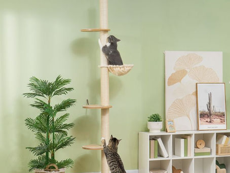 Stabil, modern und funktional: Dein neuer Kratzbaum von unserekratzbaum.com
