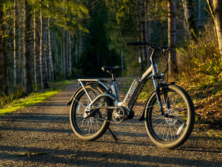 Warum E-Bikes immer beliebter werden – Entdecken Sie die Modelle bei Passion Bikes