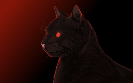Tekening van zwarte kat.
