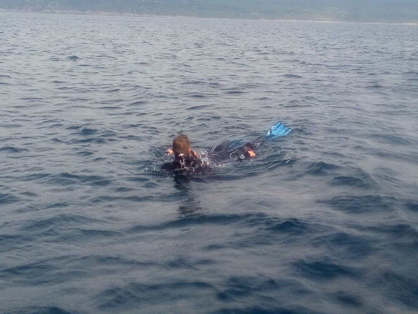 DIVING ALGHERO