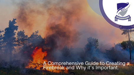 A Comprehensive Guide to Creating a Firebreak and Why it’s Important