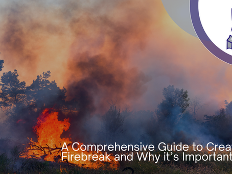 A Comprehensive Guide to Creating a Firebreak and Why it’s Important