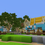 Thumbnail: Yellow Medieval Birch Hub - 200x200