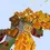 Thumbnail: Autumn Houses Hub - 300x400
