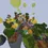 Thumbnail: Yellow Balloons Hub - 300x225