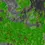 Thumbnail: Jungle Rainforest - 512x512