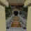 Thumbnail: Fantasy Bridge