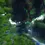 Thumbnail: Jungle Island - 400x400