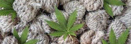HEMP TWINE.jpeg