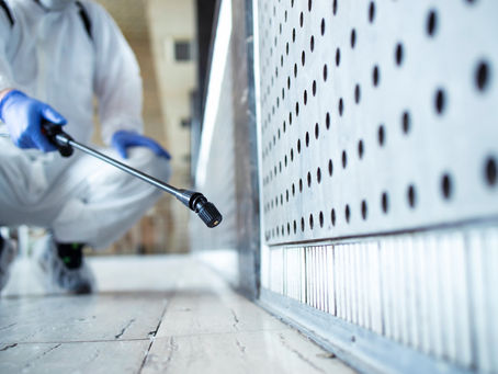 Advanced Pest Control in Ahmedabad Using Herbal Solutions