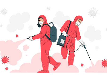 Are Pest Control Services in Ahmedabad Worth the Cost? Let’s Break It Down