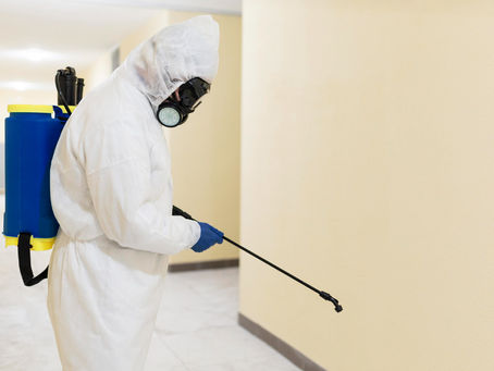 Step-by-Step Termite Treatment Process Used in Ahmedabad Homes