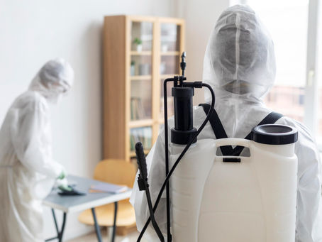 Seasonal Pest Control in Ahmedabad: Keeping Your Home Pest-Free Year-Round