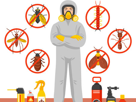Affordable Pest Control Service in Ahmedabad