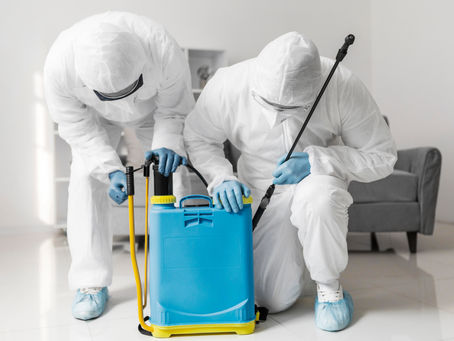 Best Pest Control Services in Ahmedabad for Home