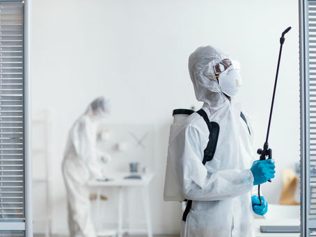 How Pest Control Services in Ahmedabad Can Help You Sleep Peacefully at Night